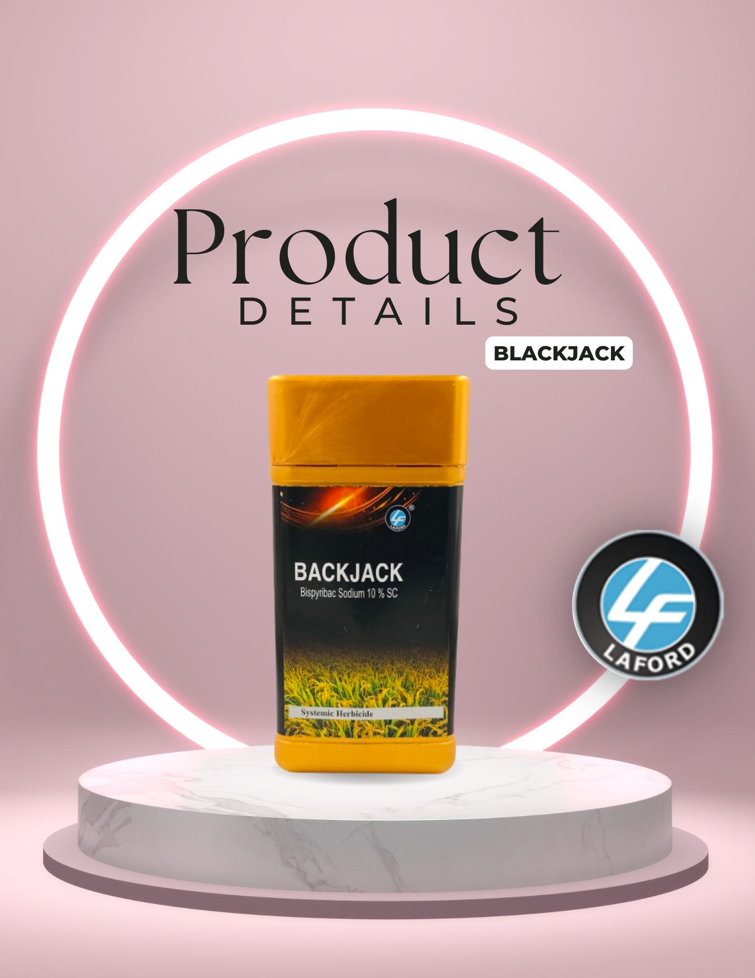 Backjack