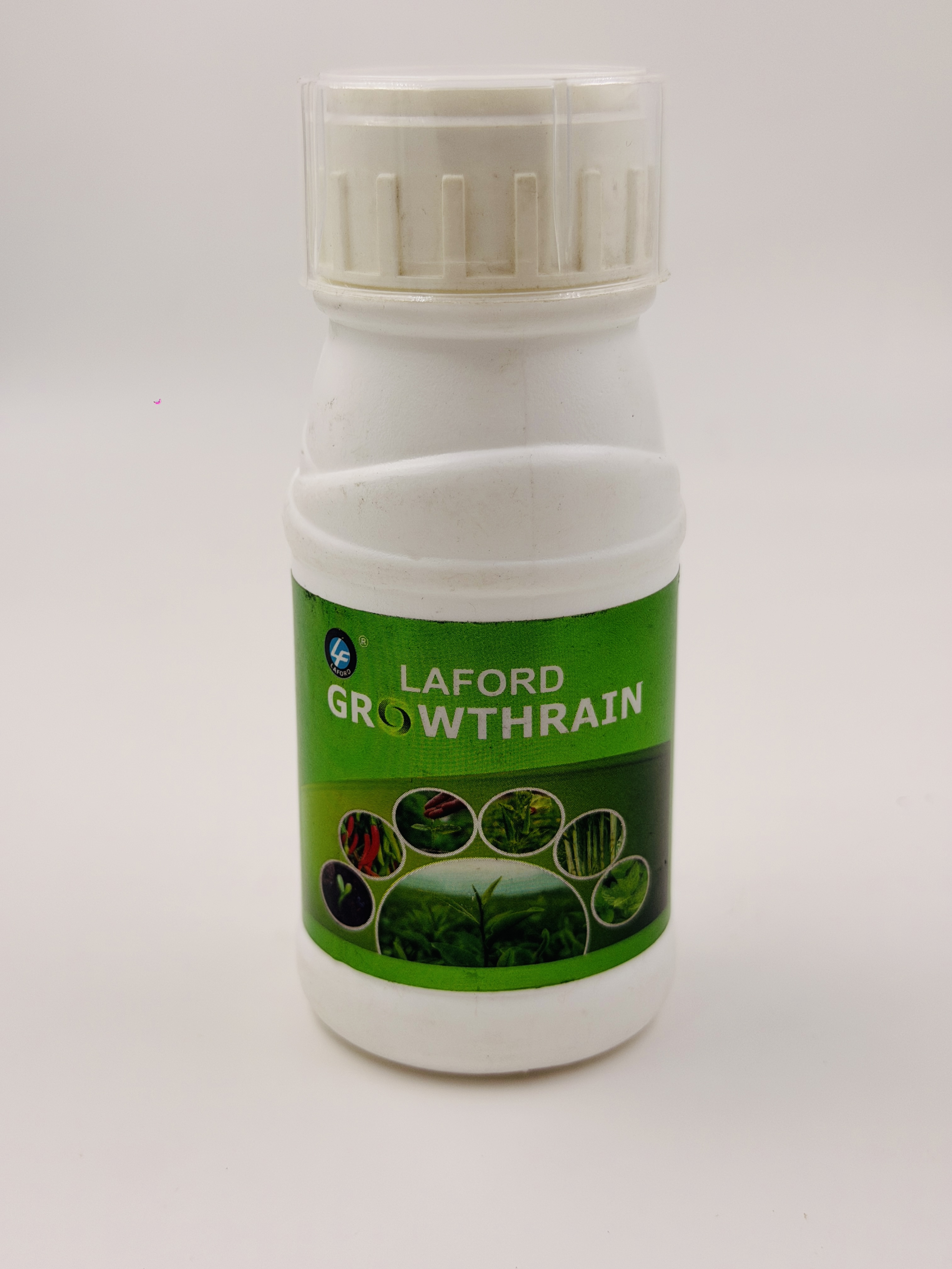 Laford Growth Rain