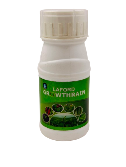 Laford Growthrain