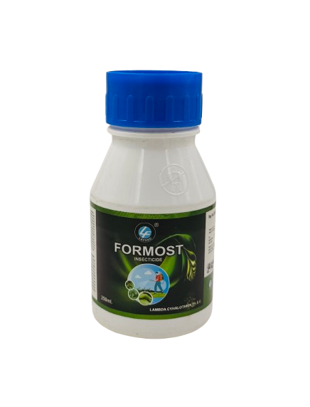 Formost