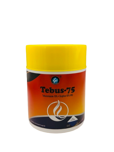 Tebus-75