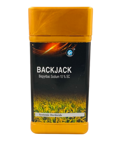 Backjack