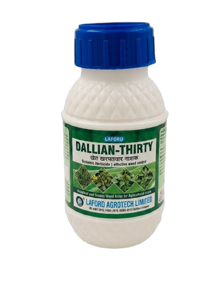 Dallian 30