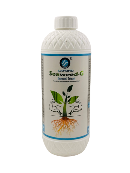 Seaweed-G